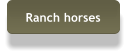 Ranch horses
